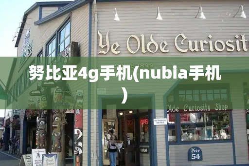 努比亚4g手机(nubia手机)-第1张图片-星选测评