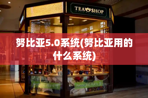 努比亚5.0系统(努比亚用的什么系统)