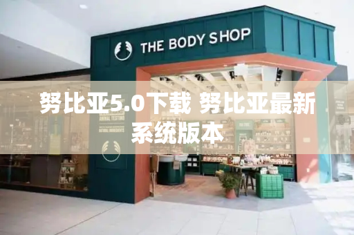 努比亚5.0下载 努比亚最新系统版本-第1张图片-星选测评
