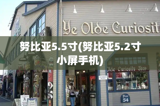 努比亚5.5寸(努比亚5.2寸小屏手机)