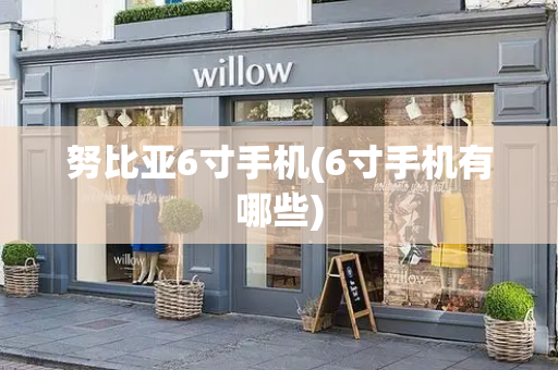 努比亚6寸手机(6寸手机有哪些)