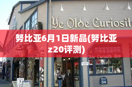 努比亚6月1日新品(努比亚z20评测)