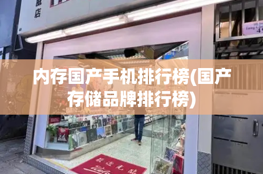 内存国产手机排行榜(国产存储品牌排行榜)