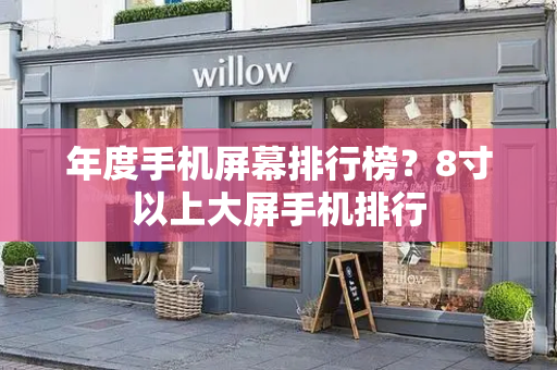 年度手机屏幕排行榜？8寸以上大屏手机排行-第1张图片-星选测评