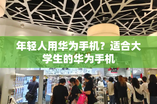 年轻人用华为手机？适合大学生的华为手机-第1张图片-星选测评
