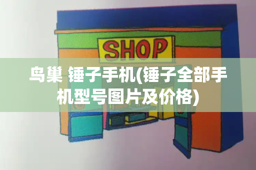 鸟巢 锤子手机(锤子全部手机型号图片及价格)-第1张图片-星选测评