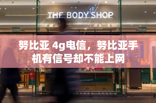 努比亚 4g电信，努比亚手机有信号却不能上网