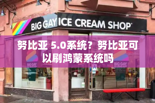 努比亚 5.0系统？努比亚可以刷鸿蒙系统吗