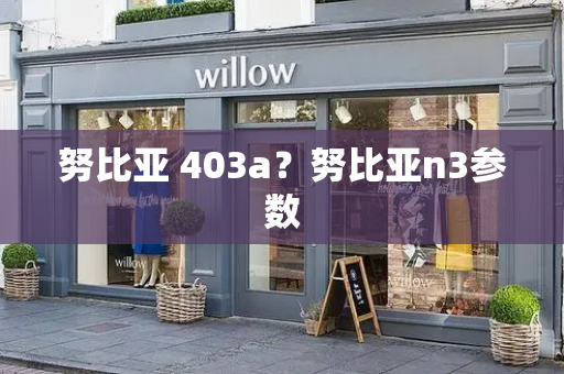 努比亚 403a？努比亚n3参数-第1张图片-星选测评