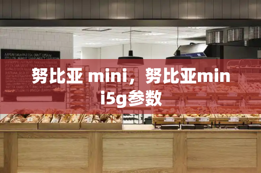 努比亚 mini，努比亚mini5g参数