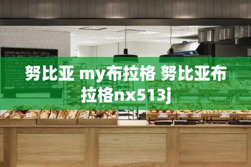 努比亚 my布拉格 努比亚布拉格nx513j