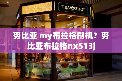 努比亚 my布拉格刷机？努比亚布拉格nx513j