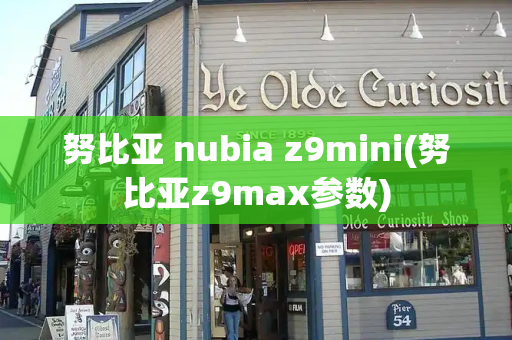 努比亚 nubia z9mini(努比亚z9max参数)-第1张图片-星选测评