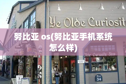 努比亚 os(努比亚手机系统怎么样)