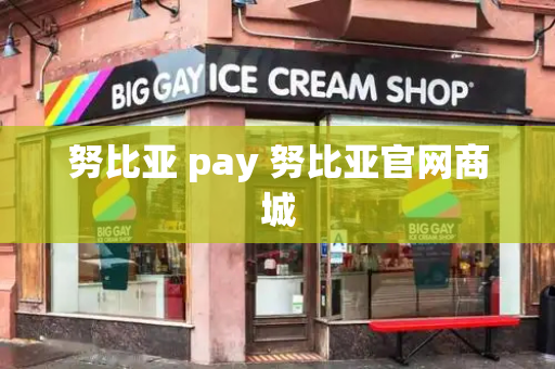 努比亚 pay 努比亚官网商城