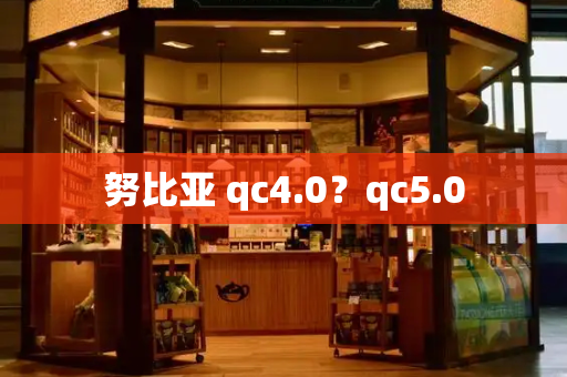 努比亚 qc4.0？qc5.0-第1张图片-星选测评