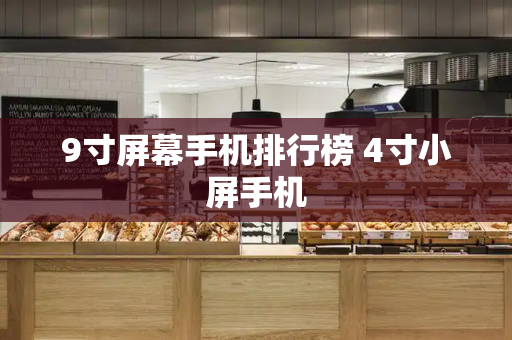 9寸屏幕手机排行榜 4寸小屏手机-第1张图片-星选测评