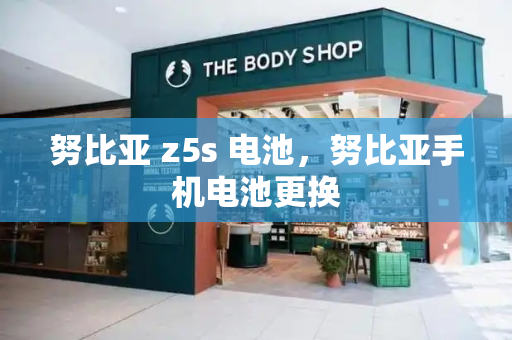努比亚 z5s 电池，努比亚手机电池更换-第1张图片-星选测评