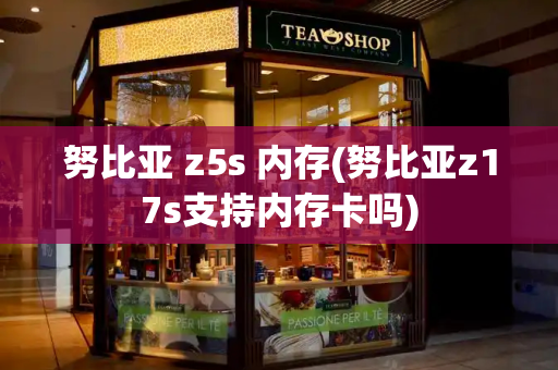 努比亚 z5s 内存(努比亚z17s支持内存卡吗)-第1张图片-星选测评