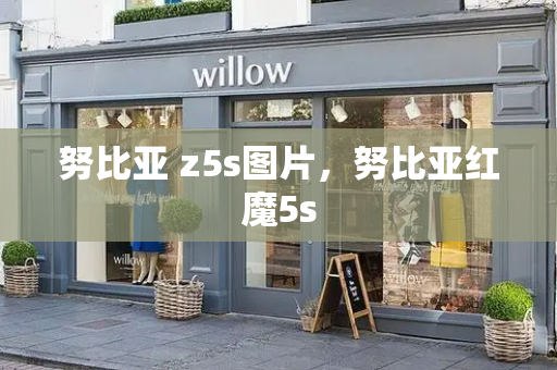 努比亚 z5s图片，努比亚红魔5s-第1张图片-星选测评