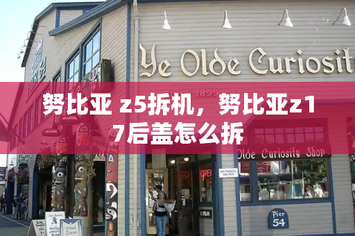 努比亚 z5拆机，努比亚z17后盖怎么拆-第1张图片-星选测评