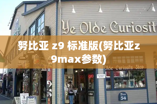 努比亚 z9 标准版(努比亚z9max参数)