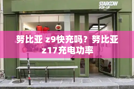 努比亚 z9快充吗？努比亚z17充电功率-第1张图片-星选测评