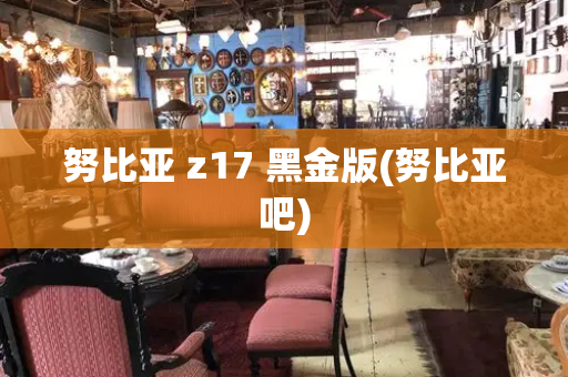 努比亚 z17 黑金版(努比亚吧)