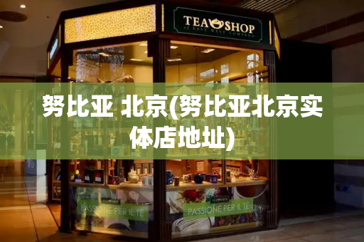 努比亚 北京(努比亚北京实体店地址)