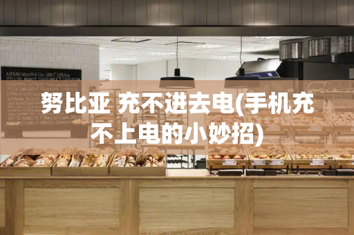 努比亚 充不进去电(手机充不上电的小妙招)-第1张图片-星选测评