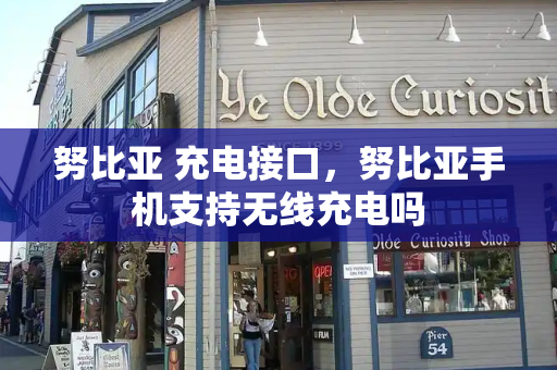努比亚 充电接口，努比亚手机支持无线充电吗-第1张图片-星选测评