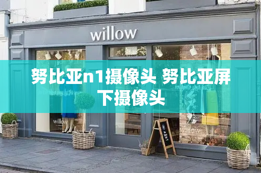 努比亚n1摄像头 努比亚屏下摄像头-第1张图片-星选测评