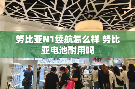 努比亚N1续航怎么样 努比亚电池耐用吗-第1张图片-星选测评