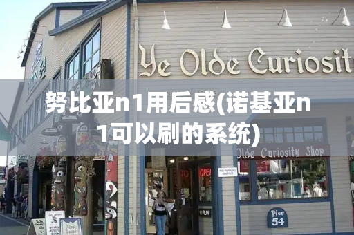 努比亚n1用后感(诺基亚n1可以刷的系统)