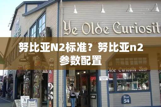 努比亚N2标准？努比亚n2参数配置