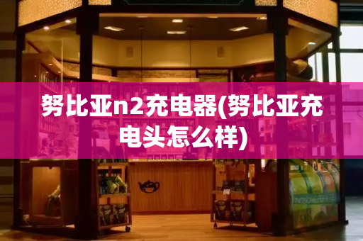 努比亚n2充电器(努比亚充电头怎么样)