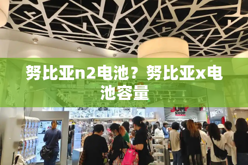 努比亚n2电池？努比亚x电池容量