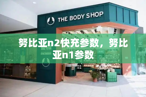 努比亚n2快充参数，努比亚n1参数-第1张图片-星选测评