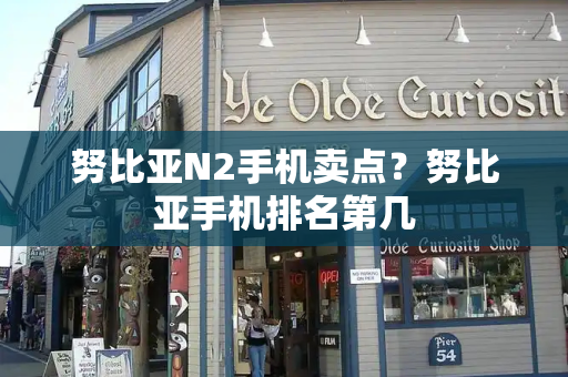 努比亚N2手机卖点？努比亚手机排名第几-第1张图片-星选测评