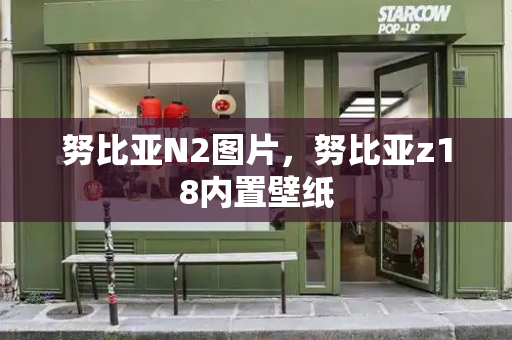 努比亚N2图片，努比亚z18内置壁纸-第1张图片-星选测评