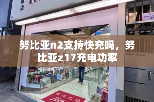 努比亚n2支持快充吗，努比亚z17充电功率-第1张图片-星选测评