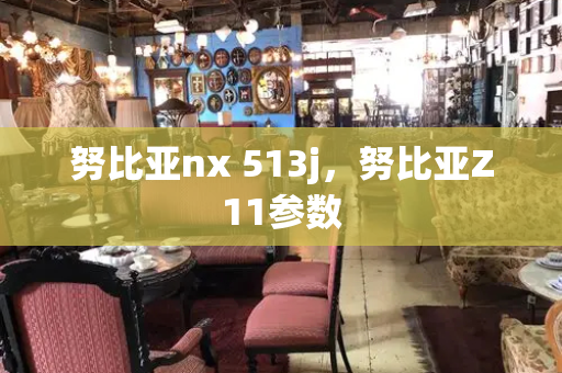 努比亚nx 513j，努比亚Z11参数