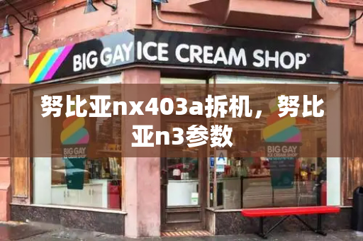 努比亚nx403a拆机，努比亚n3参数