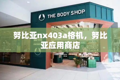 努比亚nx403a格机，努比亚应用商店-第1张图片-星选测评