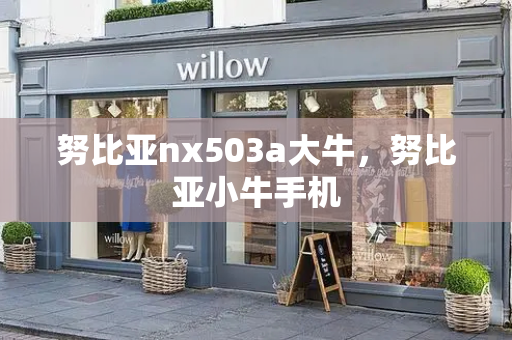 努比亚nx503a大牛，努比亚小牛手机