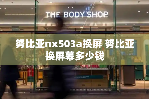 努比亚nx503a换屏 努比亚换屏幕多少钱-第1张图片-星选测评