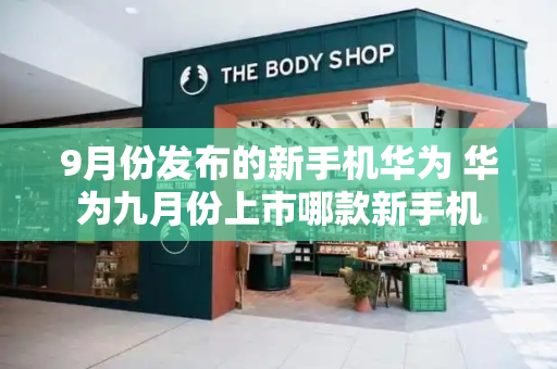 9月份发布的新手机华为 华为九月份上市哪款新手机-第1张图片-星选测评