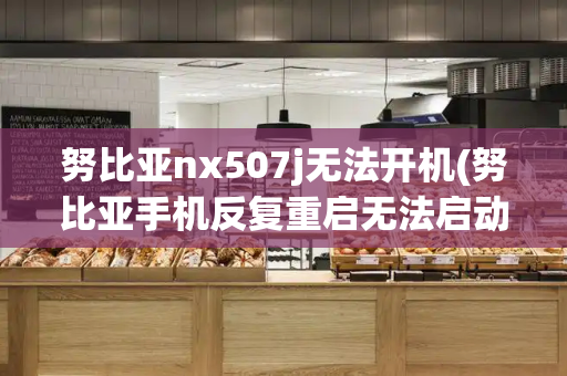 努比亚nx507j无法开机(努比亚手机反复重启无法启动)-第1张图片-星选测评