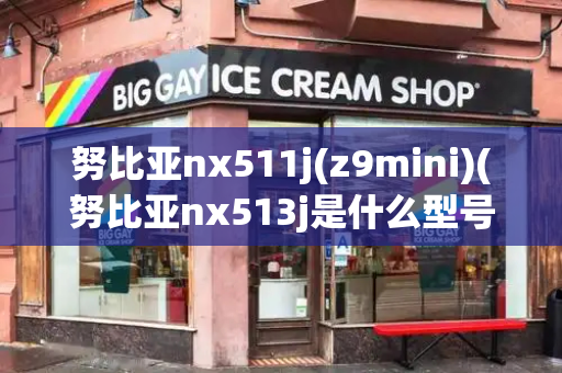 努比亚nx511j(z9mini)(努比亚nx513j是什么型号)