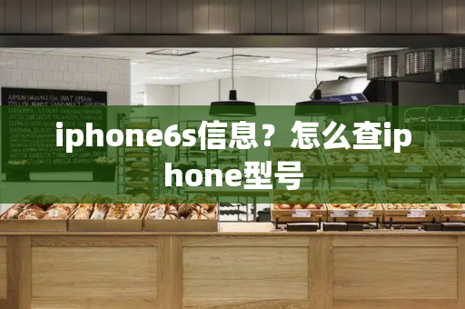 iphone6s信息？怎么查iphone型号